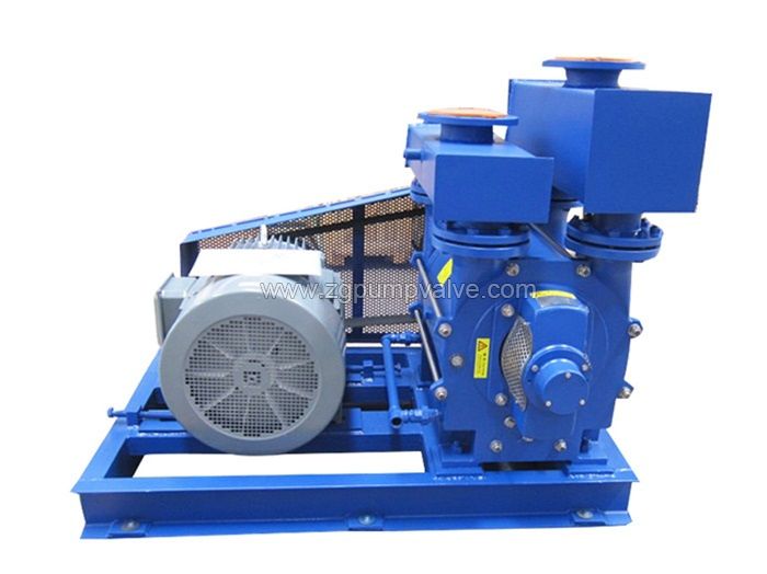 Water Ring Vacuum Pump