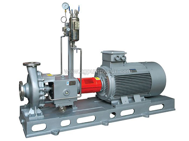 Process Pump