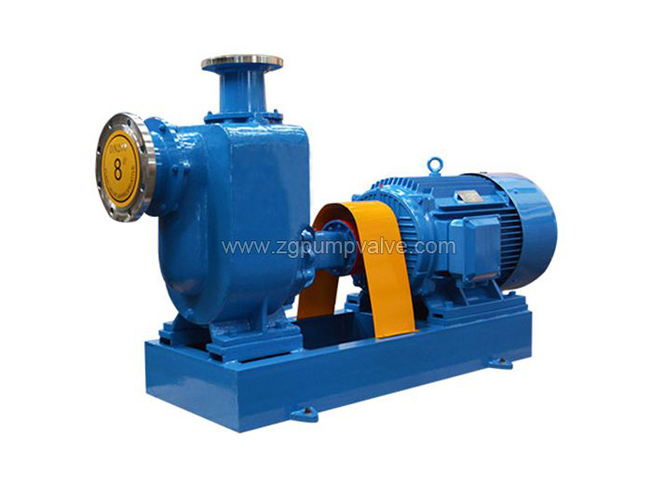 Self-Priming Pump