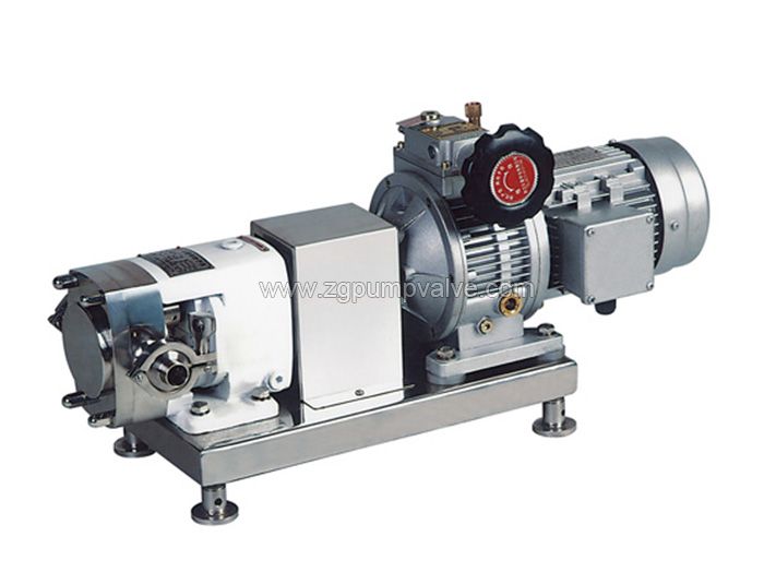 Stainless steel cam rotor pump