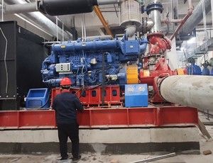 Diesel engine double suction pumps