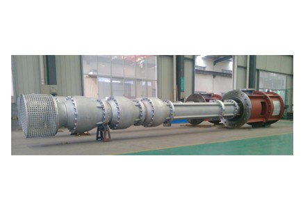 Multistage Molten Salt Pump